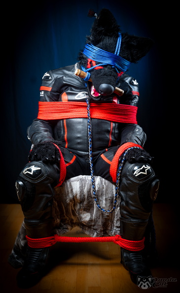 FLT02218.JPG