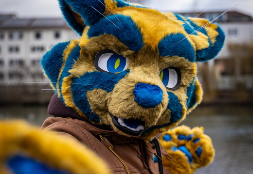 Fursuitwalk Heilbronn March 2025 - display this album Fursuitwalk Heilbronn March 2025